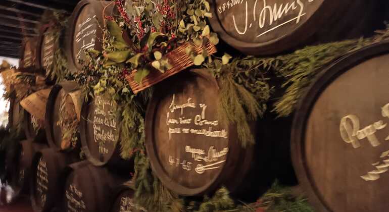 cordoba-premium-food-wine-walking-tour-in-the-old-town-es-2