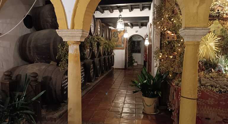 Cordoba Premium Food & Wine Walking Tour dans la vieille ville Fournie par Thomas