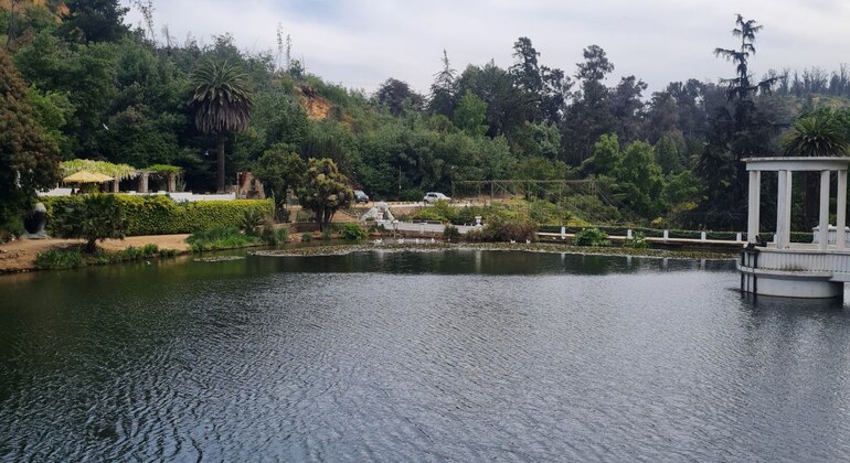 Visite : Jardins de Viña del Mar Chili — #1