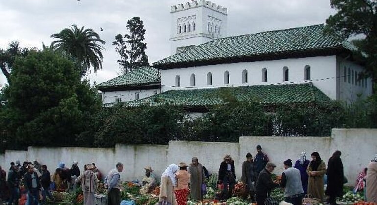 private-full-day-tour-around-tangier-sightseeing-cultural-es-7