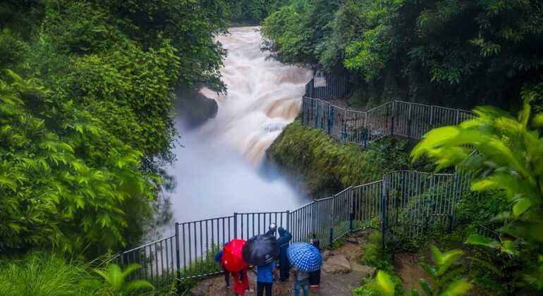 Pokhara: Cascata, grotta e collina delle pagode Tour guidato di mezza giornata Nepal — #1