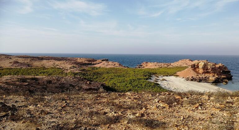 Dimaniyat Reserve Boat Trip Oman — #1