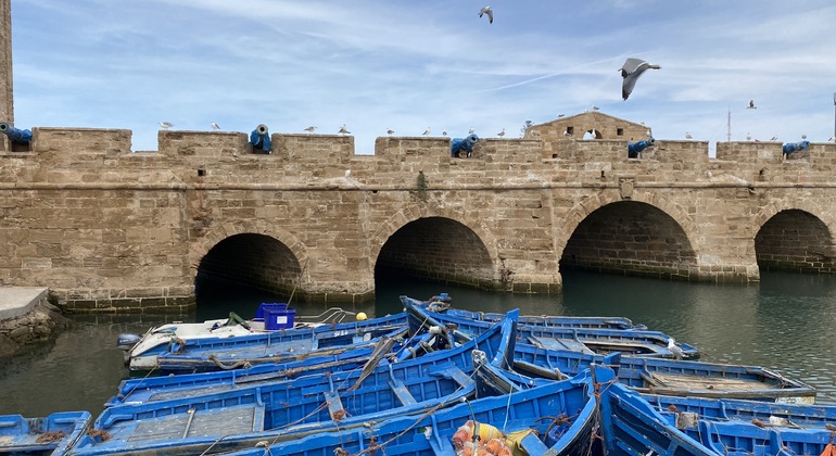 day-trip-to-essaouira-es-2