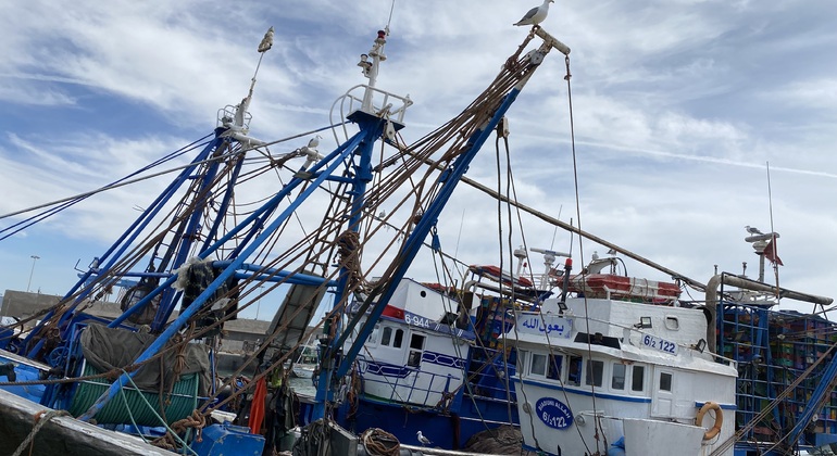 day-trip-to-essaouira-es-3