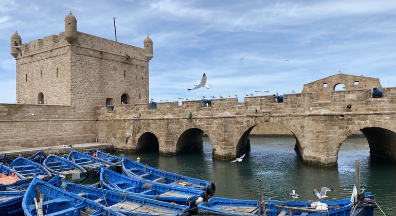 day-trip-to-essaouira-es-4