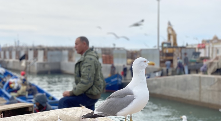 day-trip-to-essaouira-es-5