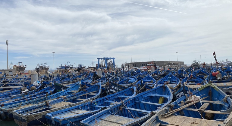 day-trip-to-essaouira-es-6