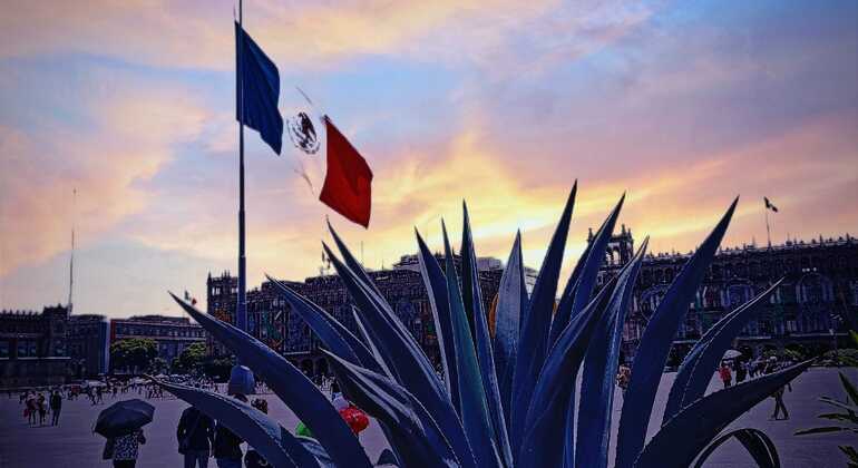 Historical and Archaeological Secrets of the CDMX Free Tour Provided by Paris Ferrand