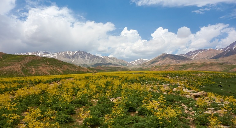 Undiscovered Tashkent: Arashan Lakes Day Trip Uzbekistan — #3