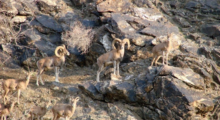 Undiscovered Uzbekistan: Ukhum Village Tour from Samarkand Uzbekistan — #2