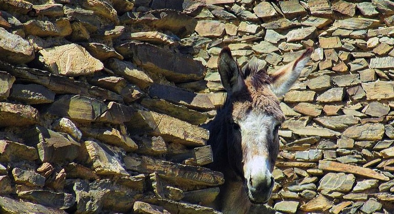 Undiscovered Uzbekistan: Ukhum Village Tour from Samarkand Uzbekistan — #7