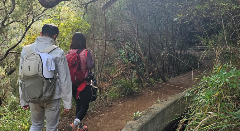 Private Tour: 25 Fontes Levada-Wanderung