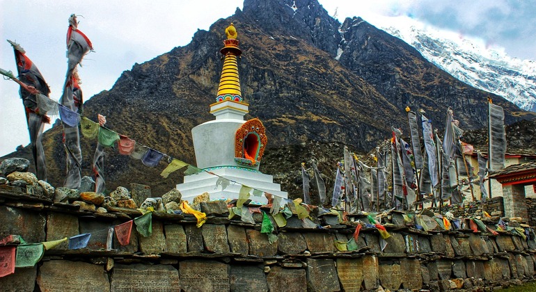 Langtang Tal Trek in Nepal Bereitgestellt von Kamal Prasad RImal