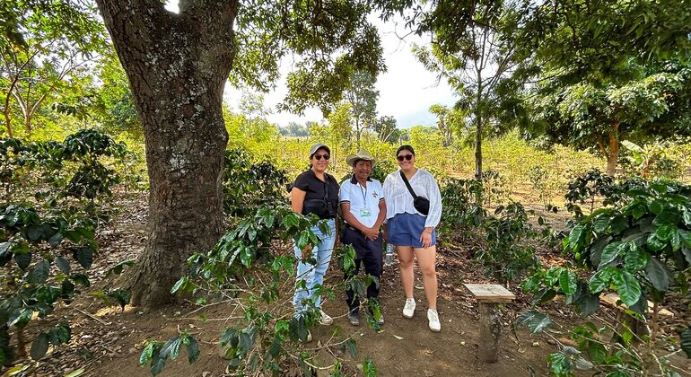 Kunsthandwerkliche Kaffee-Tour