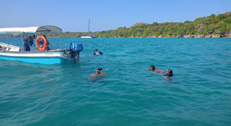Excursão de mergulho com snorkel e observação de guaxinins em Playa Blanca Organizado por Jhoany Fajardo B