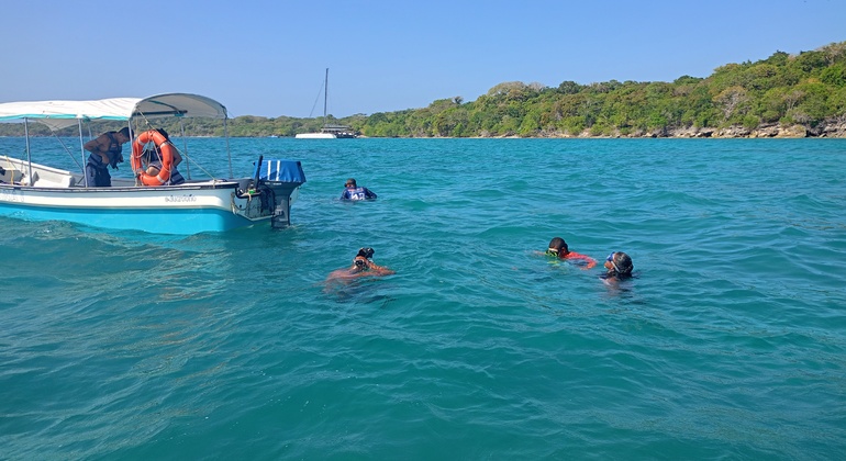 Playa Blanca : plongée avec tuba et observation des ratons laveurs Fournie par Jhoany Fajardo B