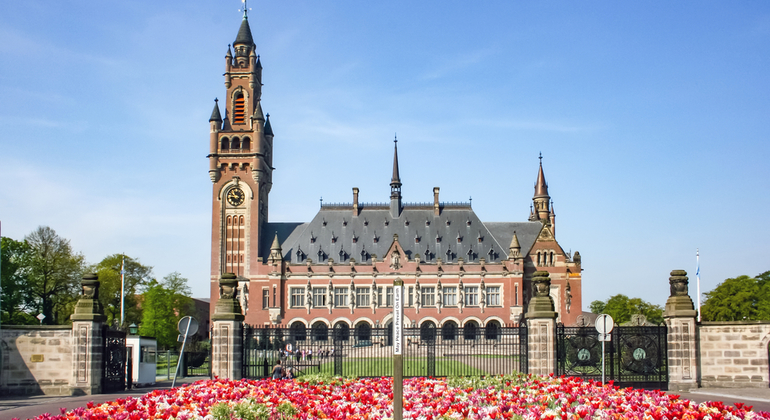 Exkursion nach Rotterdam und Den Haag auf Spanisch Bereitgestellt von Camaleon Tours