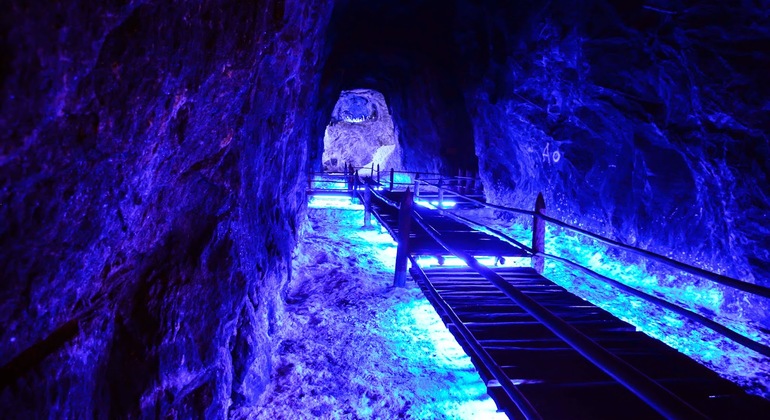 Zipaquirá and Mina de Sal de Nemocón Private Tour all Inclusive Colombia — #2