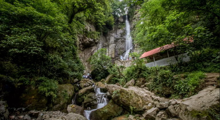 Wine & Dine Tour to Makhuntseti Waterfall from Batumi Provided by Giorgi