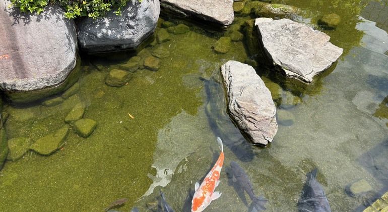 Osaka Umeda Free Walking Tour: Beyond Dotonbori Japan &mdash; #3