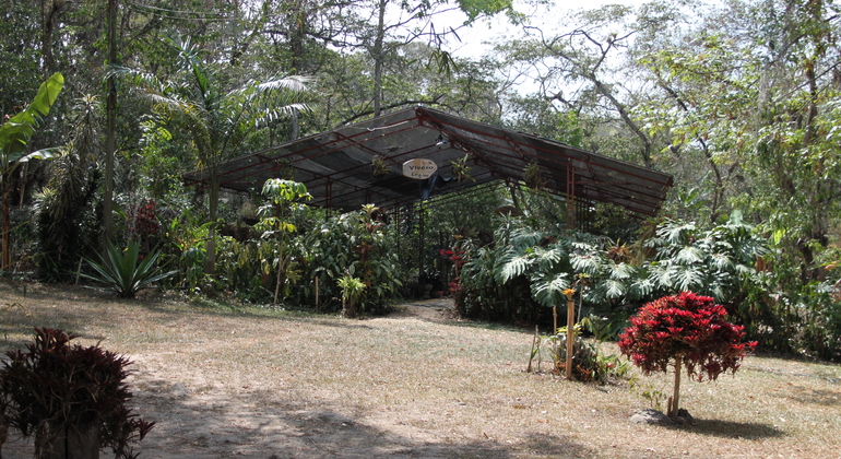 Salto del Tequendama and Coffee Farm Tour Colombia — #4