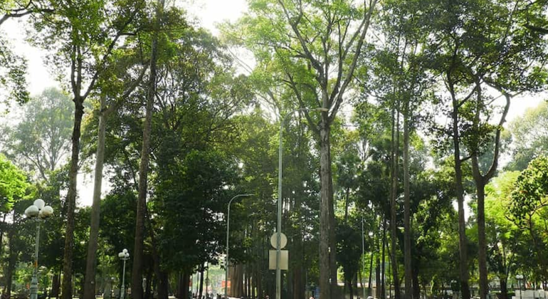 Sai Gon Free Tour: Twilight Hour - Walk, Talk and Taste Vietnam &mdash; #2