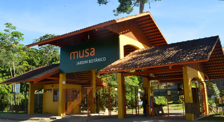 Private Tour of MUSA - Botanical Garden in Manaus
