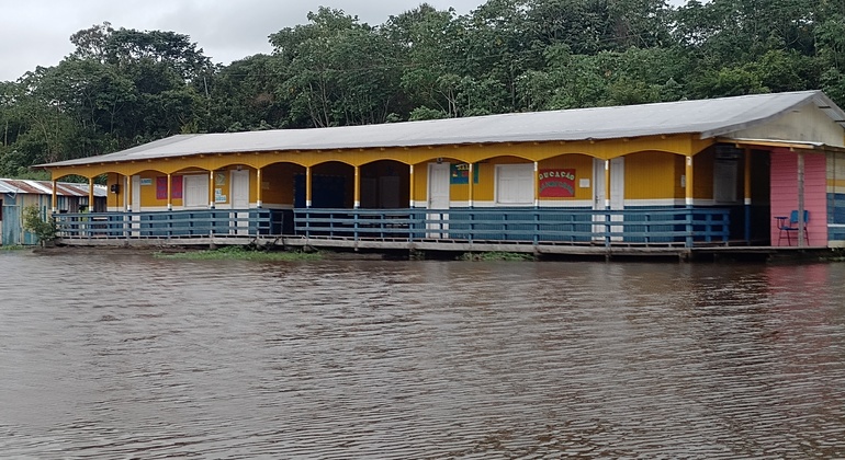 Natürliche Schönheit des Amazonas Gemeinsame Tour