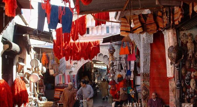 Demi-journée de visite de la ville de Marrakech Fournie par Moroccoglobaladventures