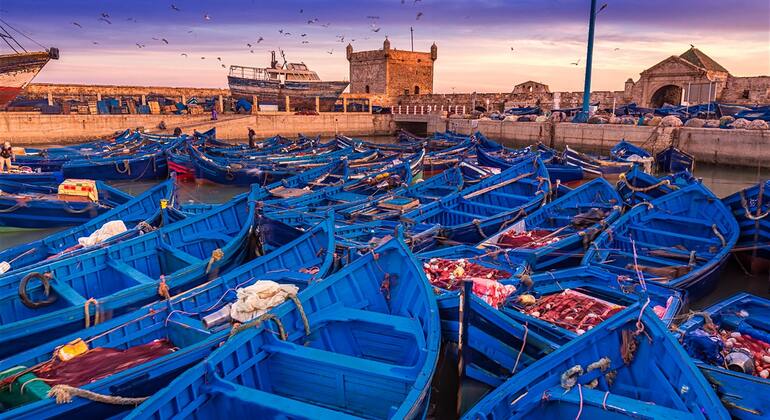 Uma viagem de um dia de Marraquexe a Essaouira