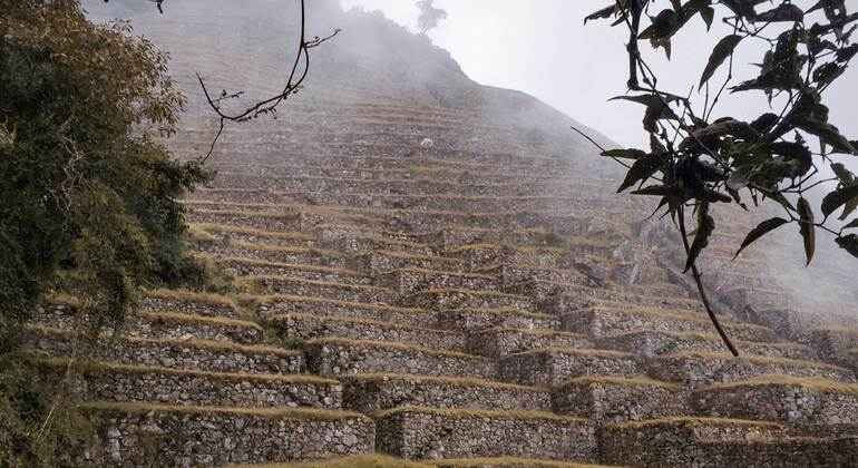 Klassischer Inka-Pfad 4 Tage Peru — #5