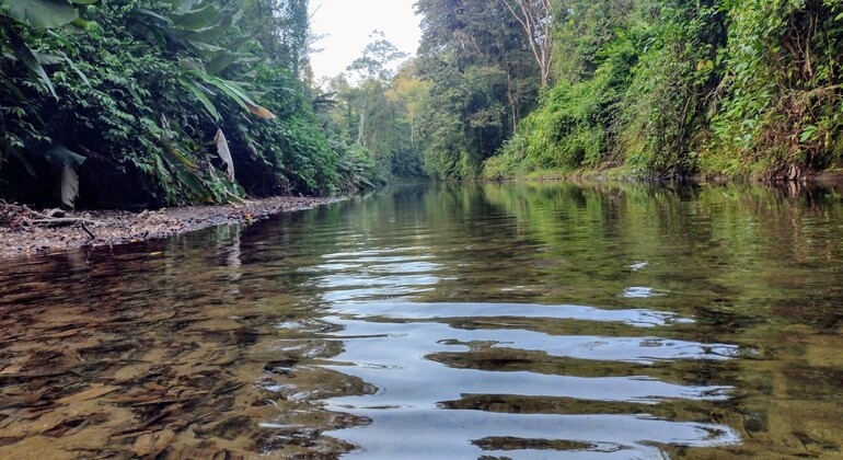 Visite libre de la baie de Drake, Costa Rica