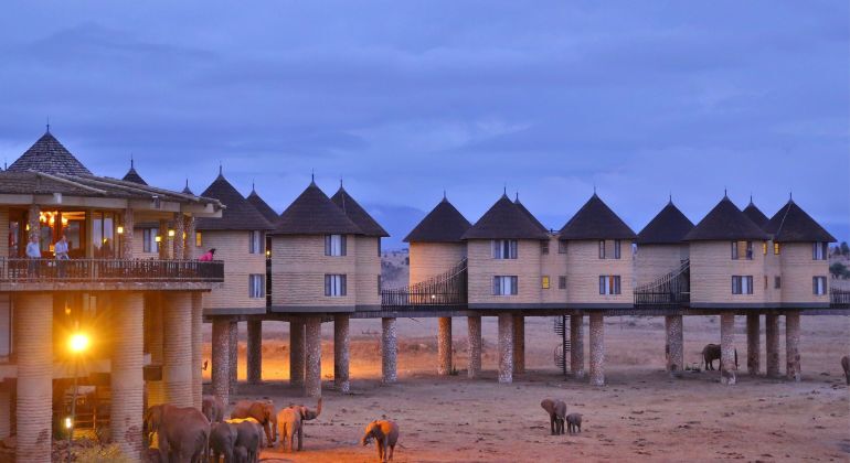 safari de 4 días en Kenia, Amboseli, Salt Lick Lodge y Tsavo Este Operado por Umani Bliss Safaris