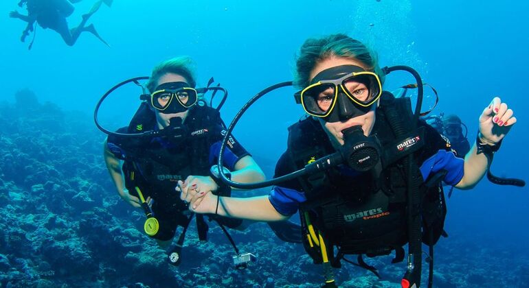 Scuba Diving Tour in Alanya with Lunch Provided by Vakare Travel