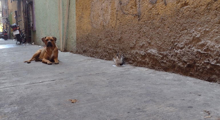 Tepito: History and Tradition Mexico &mdash; #4