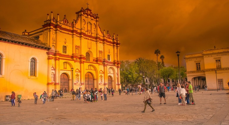 Camina y Aprende: Free Tour por Ciudad de México México &mdash; #2