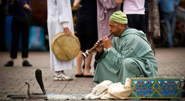 Excursion d'une journée à Marrakech Maroc — #3