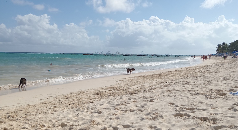 Tour gratuito per godersi l'alba sulla spiaggia, Mexico