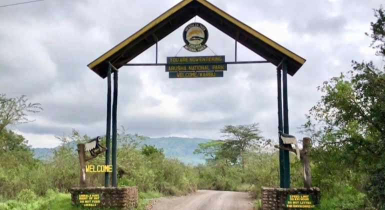 Safari a pie por el Parque Nacional de Arusha más safari en coche