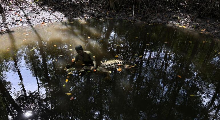 Bien Hoa Tour: From Ho Chi Minh to the “Mini Ha Long Bay”  Provided by Sai Gon Vi Vu 