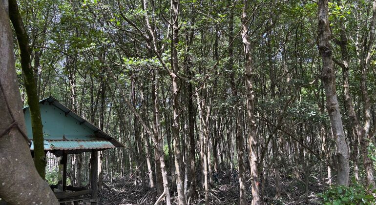 World Biosphere Reserve & History of Rung Sac Special Forces Free Tour Vietnam &mdash; #10