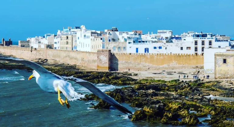 Essaouira Day Trip from Marrakech Provided by mohamed