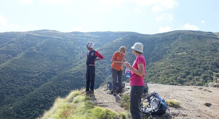 Excursão de 10 dias de aventura na natureza nas Montanhas Simien Organizado por Sahlie