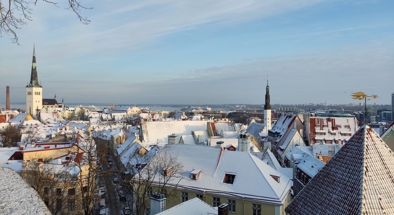 Descubre la Tallinn Medieval Operado por Maritour