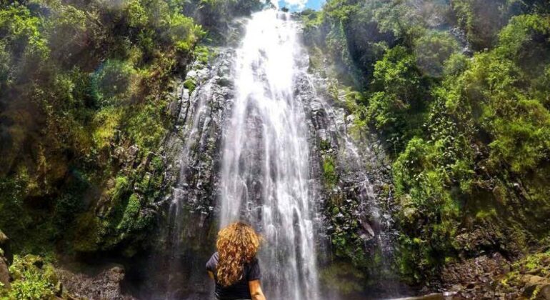 1 Day Materuni Waterfalls & Coffee Tour Tanzania — #1