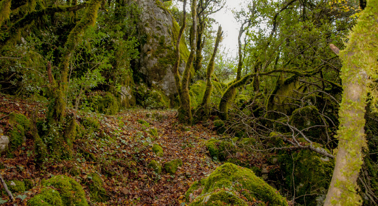 Excursão pela natureza, cultura e história na Grécia montanhosa Organizado por Maria Katsogianni