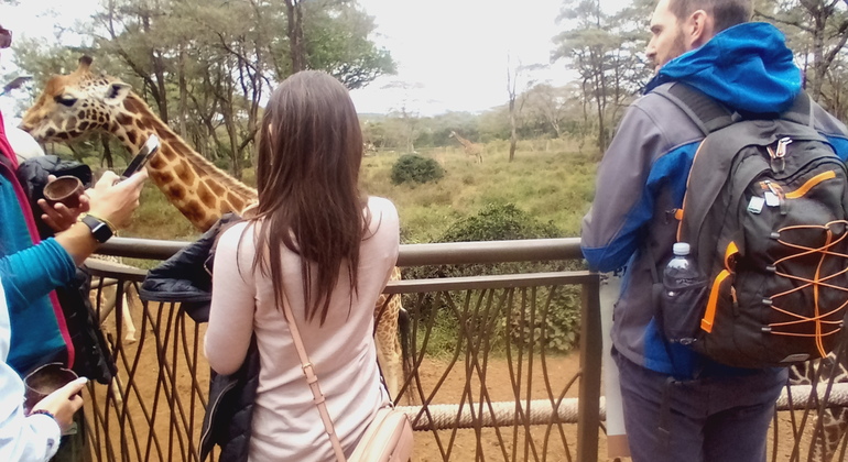 Orfanotrofio degli elefanti - Centro delle giraffe Kenya — #2