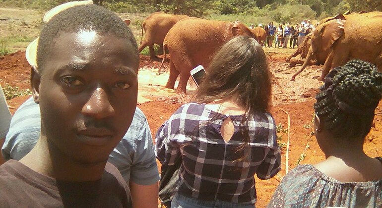 Orfanotrofio degli elefanti - Centro delle giraffe Kenya — #15