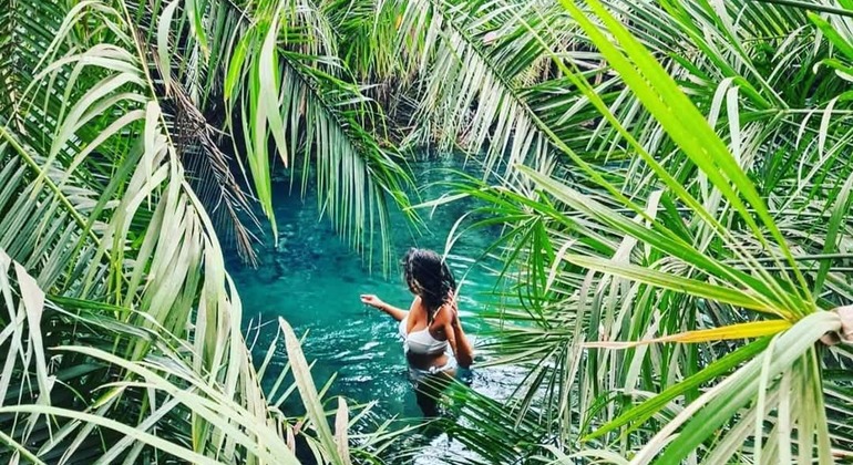 Arusha zu Fuß entdecken: Kostenlose Tour Tansania — #3