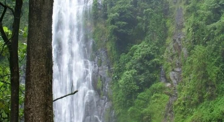 Arusha zu Fuß entdecken: Kostenlose Tour Tansania — #6